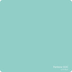 Pin Panelz Pantone Noticeboard