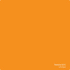 Pin Panelz Pantone Noticeboard