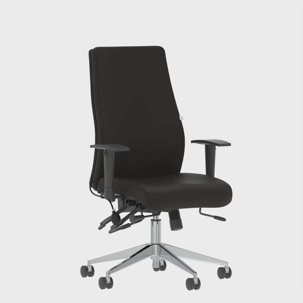 Onyx Fabric Ergonomic Posture Chair, 360 degree spin