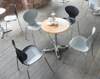 Sienna Dining Chair in an office