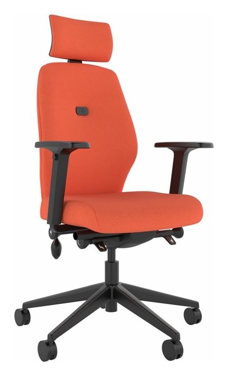 Solo Medium Back Small Seat Ergonomic Chair with Headrest