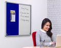 Tamperproof Pinup Pen Boards in Blue
