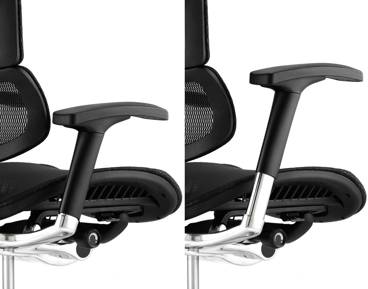 Ergo Dynamic Posture Chair