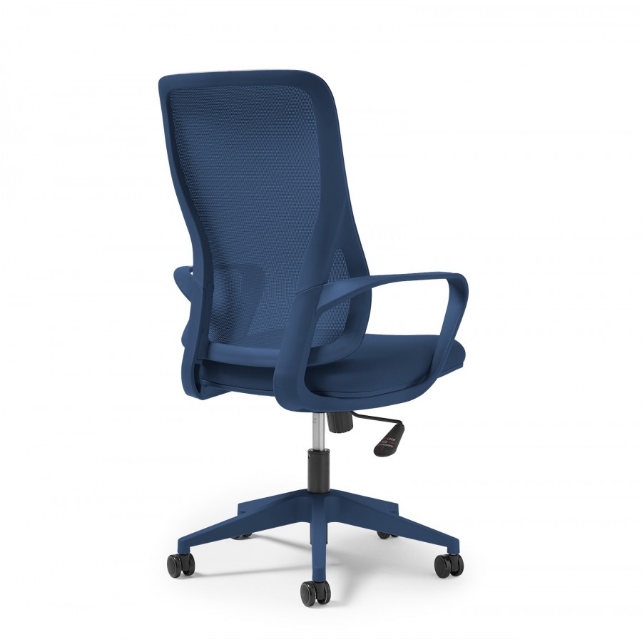 Eva Full Colour Mesh Back Task Chair