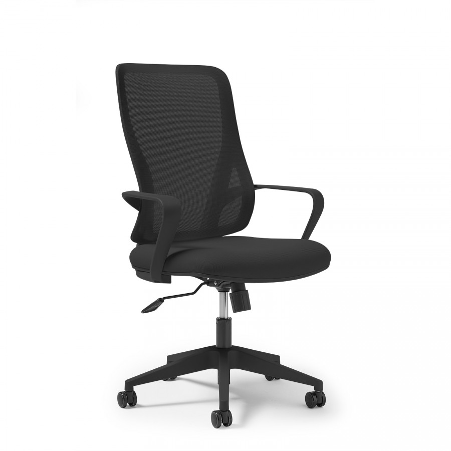 Eva Full Colour Mesh Back Task Chair