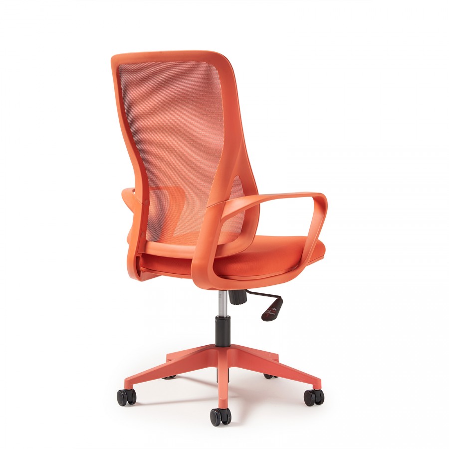 Eva Full Colour Mesh Back Task Chair